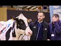 les hauts de france dans l’ambiance du salon de l’agriculture