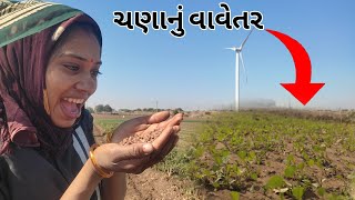 ફરી પાછું એક નવું વાવેતર || જીરાના વાવેતર પછી ફરી પાછું ચણાનું વાવેતર || saj hitu vlogs