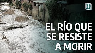 El río de Santander que se resiste a morir | Vanguardia