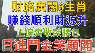 老人言：財路廣闊6生肖, 賺錢順利財源升, 正偏齊收鼓腰包, 日進鬥金笑顏開 #硬笔书法 #手写 #中国語 #书法 #老人言 #派利手寫 #生肖運勢 #生肖 #十二生肖