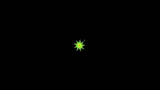 Colorful Star 💫 Design Using Python Turtle 🐢 ||Graphics Design|| #python #turtle#shortvideo#shorts