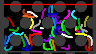 Worm Race 24x2 Color in Algodoo - Thc Game Mobile