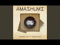 Amashumi