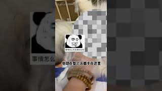 【陈秃秃的一家】现在才明白当初邦邦的妈妈有多不容易😭#邦啊