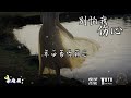 别怕我伤心 余超颖 原唱：张信哲 抖音流行歌曲 动态歌词 lyrics