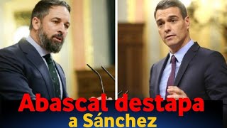 Entrevista completa de  Santiago Abascal : "Derogaremos todas las porquerías de la izquierda"