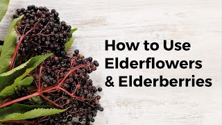 Elderflower and Elderberry Uses