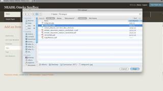 Adding an Item to Omeka