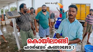 Koyilandy Harbour | Fishing harbour Kozhikode | Kozhikode | Walk story's vlog 🎞️