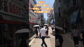 街ぶら　上野駅　アメヤ横丁　アメ横　一本横に入ると　平日昼間の様子　#shorts #上野  #街ぶら #まちあるき#japan #ueno #アメ横 #アメヤ横丁