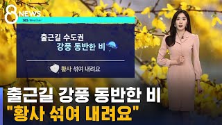 [날씨] 전국 한때 5~20mm 비…종일 강한 바람 / SBS 8뉴스