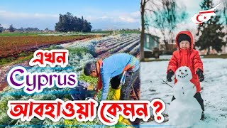 সাইপ্রাসে -৩° তাপমাত্রা এখন তুষারপাত হচ্ছে, | Cyprus visa upgrade 2025 | Rafin Vlogs