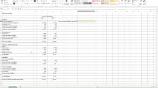 Calculating Non-Current Assets to Net Worth  in Excel