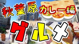 （グルメ編） 秋葉原でカレーが食べたい！ （ランチに最適）　curry store in Akihabara.