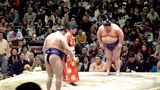 Shotenro (2-9) - Fujiazuma (3-8) , Sumo : Hatsubasho '14