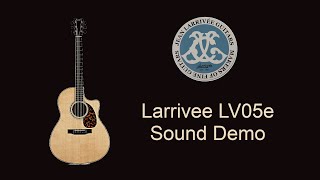 Demo: Larrivee LV05e