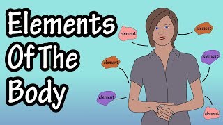 What Are Elements - Elements Of The Human Body - What Is The Body Made Of - Human Body Composition