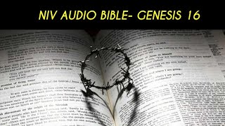 GENESIS 16 NIV AUDIO BIBLE (with text)