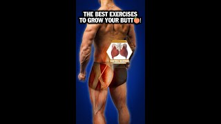 BEST Exercises to Grow Your Butt!