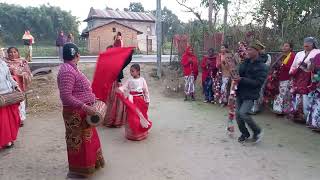 #Maghi special Tharu cultural dance 2081