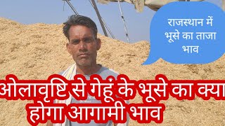 तेज ओलावृष्टि होने की वजह से क्या होगा गेहूं के भूसे का भाव/bhusa Mandi bhav Rajasthan