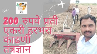 200 रुपये प्रती एकरी हरभरा काढणी तंत्रज्ञान | #shailesh #osmanabad #farmer #चना #हरभरा #reaper #शेती