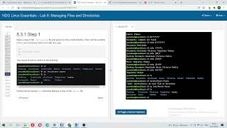 NDG: Linux Essentials: Lab 8