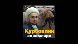 📹Қурбонлик аҳкомлари