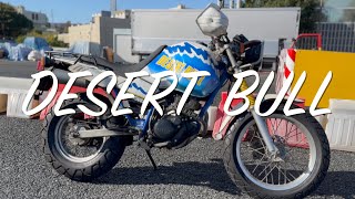 TW200  DESERT BULL complete custom  デザートブル paris dakar アドベンチャーバイク