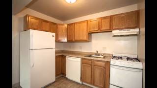 Enjoy views from Lakeview Apartments!