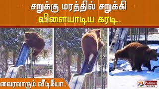 சறுக்கு மரத்தில் சறுக்கி விளையாடிய கரடி.. வைரலாகும் வீடியோ..