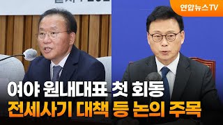 여야 원내대표 첫 회동…전세사기 대책 등 논의 주목 / 연합뉴스TV (YonhapnewsTV)