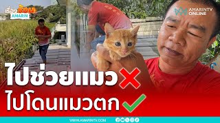 กู้ภัยไปช่วยแมวติดอยู่บนหลังคา แต่ดันโดนแมวตกซะงั้น | เรื่องร้อนอมรินทร์