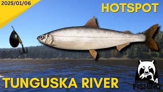 Lure Fishing for Siberian Sardine Cisco - Russian FIshing 4