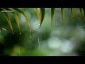 relaxing music u0026 rain sounds beautiful piano music background music sleep music • i love you