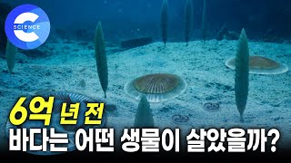 최초의 다세포 생물은 뭘까? | 에디아카라 동물군