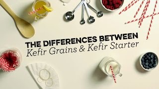 Kefir Grains vs Powdered Kefir Starter - What's the difference?