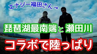 【おかっぱり】琵琶湖最南端と瀬田川で陸っぱり #おかっぱり #琵琶湖 #瀬田川