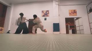 Aikido • Jo Nage