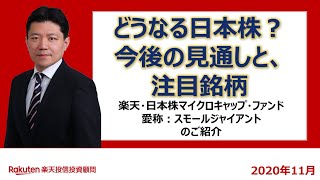 ファンドマネージャーが語る！国内市場の見通しと注目銘柄（2020年10月時点）