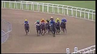 20190222 Greyville express clip race 2 won by FIRE SIDE