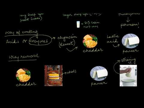 Cheese Microbiology | Microbes In Human Welfare | Biology | Khan ...