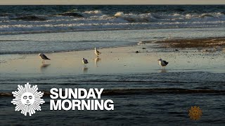 Nature: Cape Code National Seashore