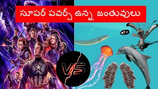 సూపర్ పవర్స్ ఉన్న జంతువులు | Animals With Real Super Powers IN Telugu