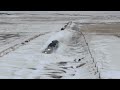 canadian train plowing a huge snowdrift