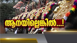 ആന എഴുന്നള്ളത്തിന് മാർഗനിർദേശങ്ങളുമായി കോടതി; പൂരം പ്രതിസന്ധിയിലാകുമോ? | Thrissur Pooram