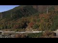 中央線　115系山スカ　山燃ゆる甲斐大和　その２　20121116