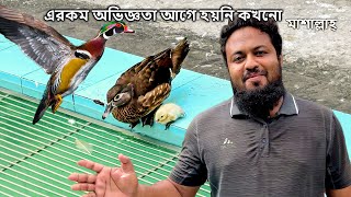 এরকম অভিজ্ঞতা আগে হয়নি কখনো