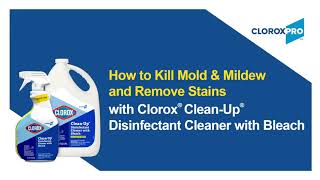 How to Remove Mold with Clorox Clean Up Cleaner Disinfectant