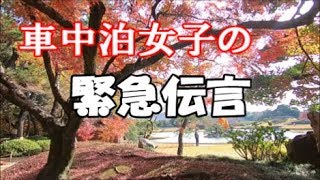 【女車中泊旅 Explore Japan】旅する女が精一杯発信した 見て聞いてそしてあなたは・・・Solo Female Traveler,  walking around autumn leaves